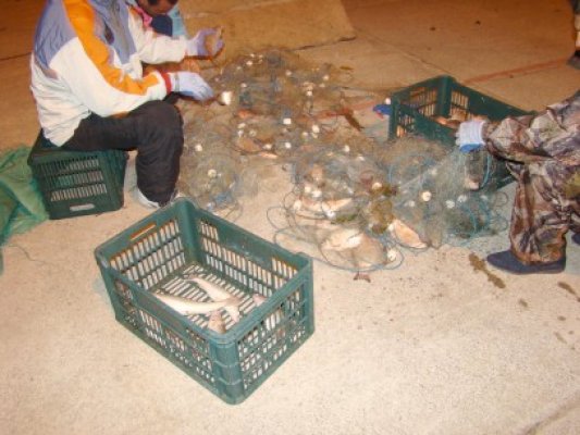 Braconieri fugari: au abandonat şi peştele, şi maşina fără număr de înmatriculare!
